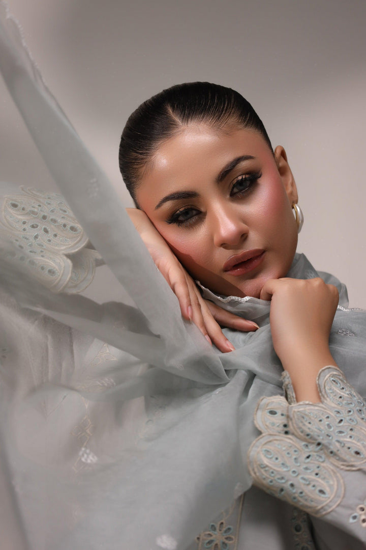 3 Piece Grey Embroidered Suit Luxury Pret - AR-3356-Saga - ARFARIWAJ