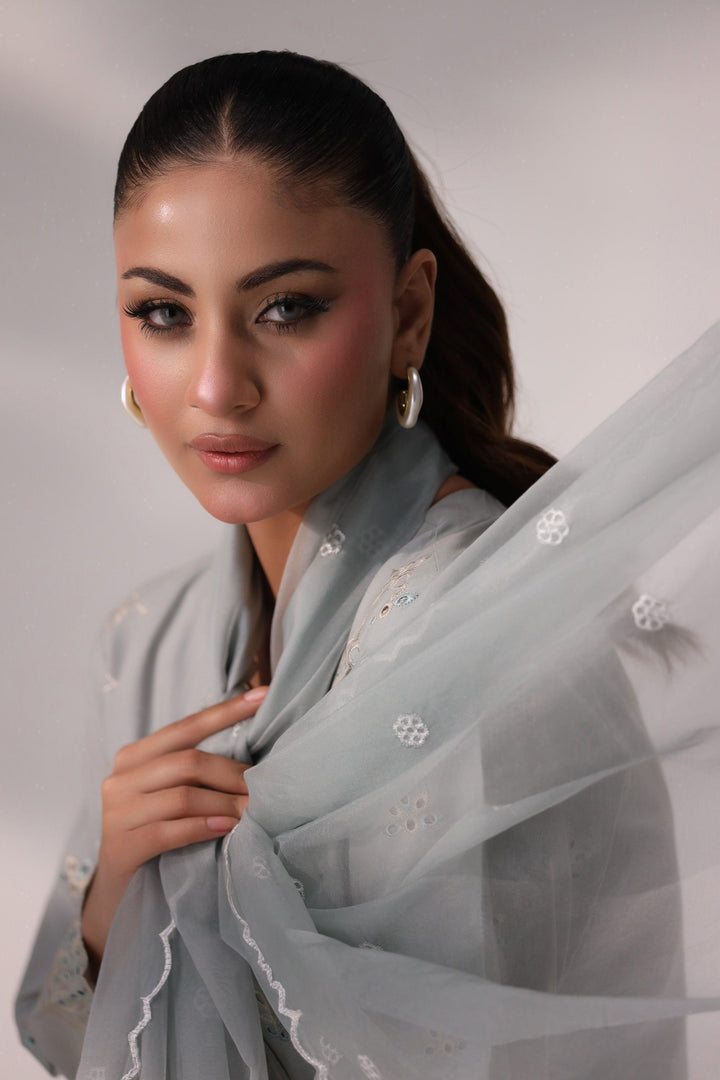 3 Piece Grey Embroidered Suit Luxury Pret - AR-3356-Saga - ARFARIWAJ