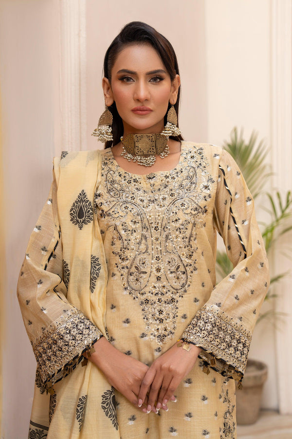 3 Piece Skin Zari Jacquard Suit Pret - AR-3641 - ARFARIWAJ