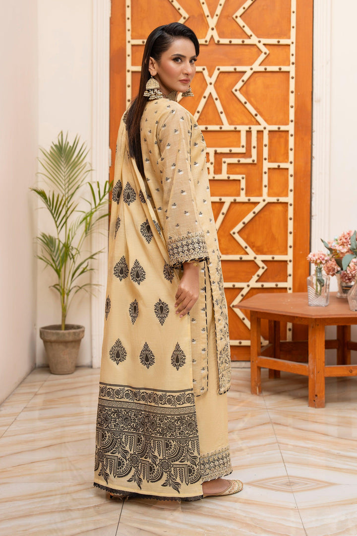 3 Piece Skin Zari Jacquard Suit Pret - AR-3641 - ARFARIWAJ
