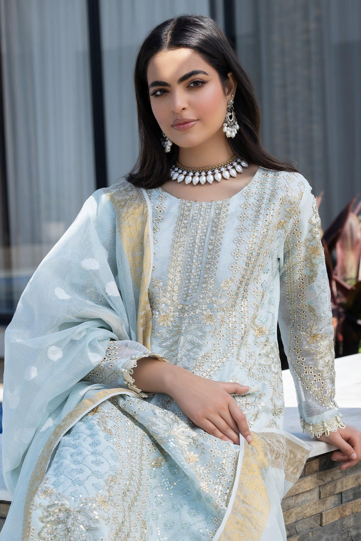 3 Piece Sky Blue Karandi Suit Pret - IN-356 - ARFARIWAJ