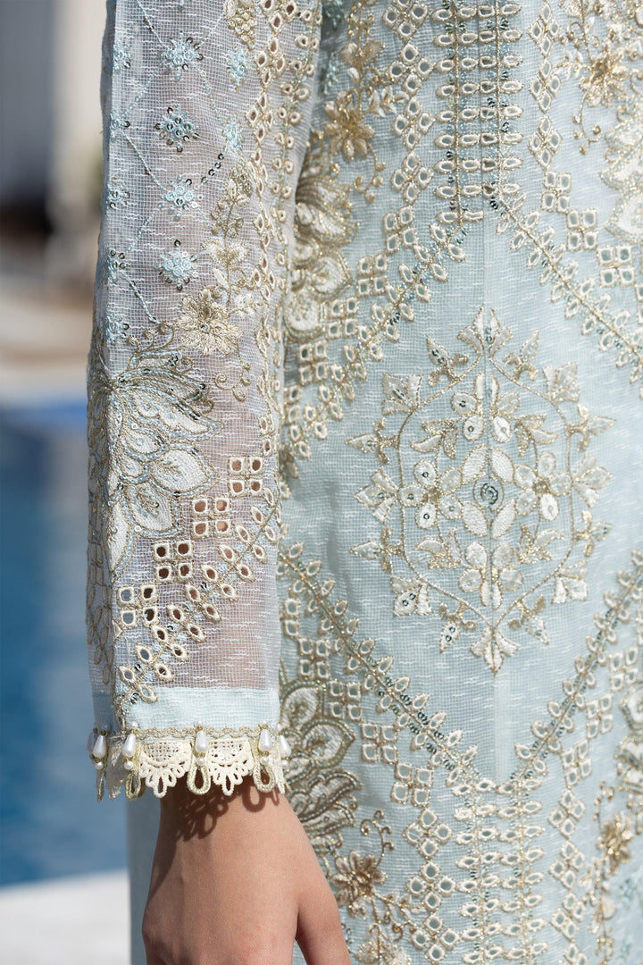 3 Piece Sky Blue Karandi Suit Pret - IN-356 - ARFARIWAJ