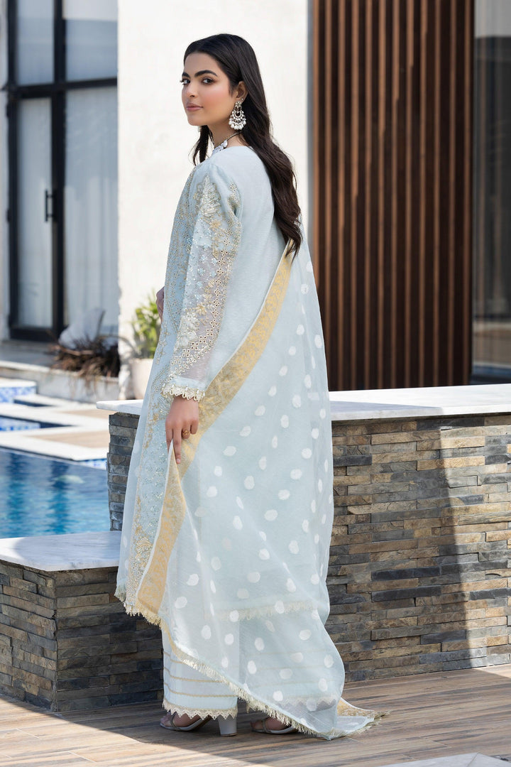 3 Piece Sky Blue Karandi Suit Pret - IN-356 - ARFARIWAJ