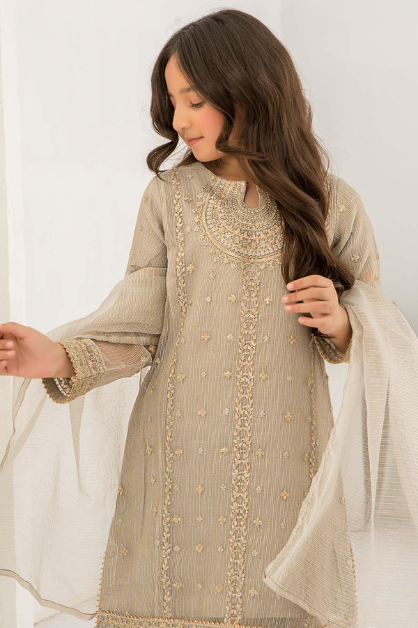 3 piece Pastel Grey Zari Organza Suit Kids - K-574 - ARFARIWAJ