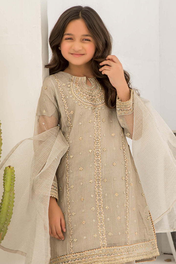 3 piece Pastel Grey Zari Organza Suit Kids - K-574 - ARFARIWAJ
