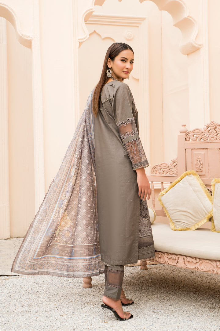 3 Piece Premium Chikenkari-Embroidered Stitched Suit Summer 24' Eid Edit 1 by arfa riwaj