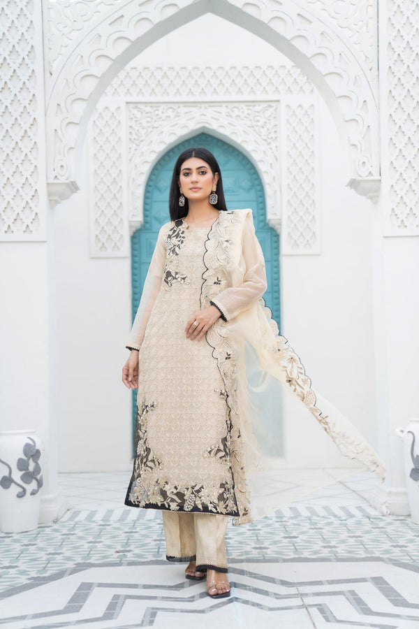 3 Piece Organza Suit Luxury Pret- IN-217-Mirror Addiction - ARFARIWAJ