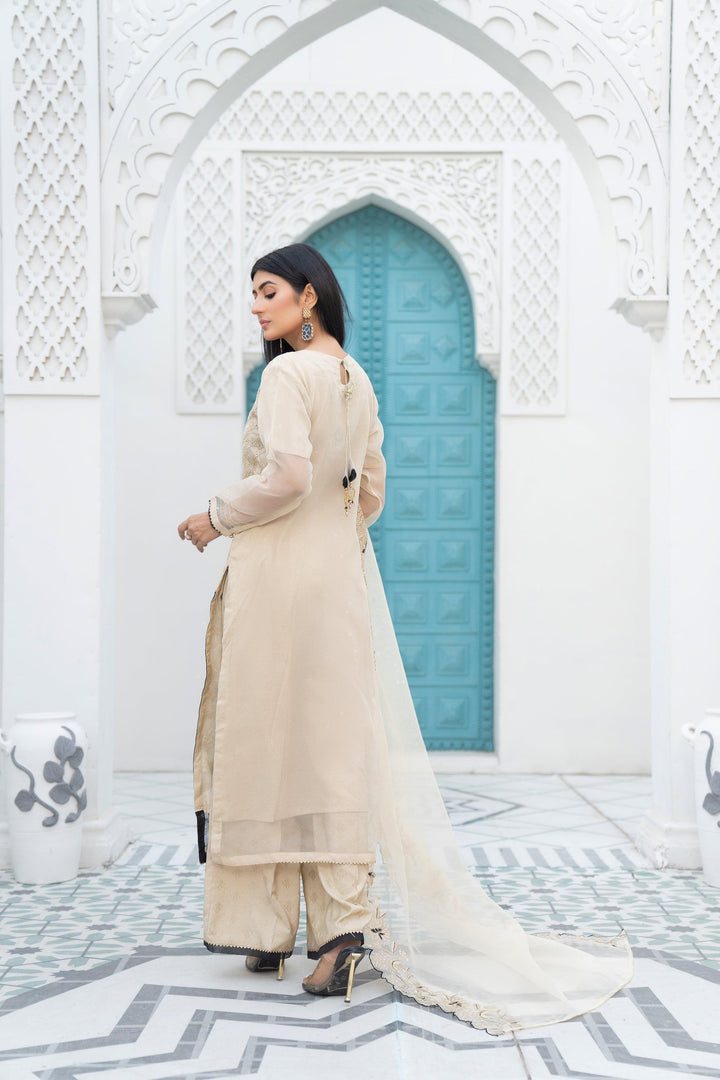 3 Piece Organza Suit Luxury Pret- IN-217-Mirror Addiction - ARFARIWAJ
