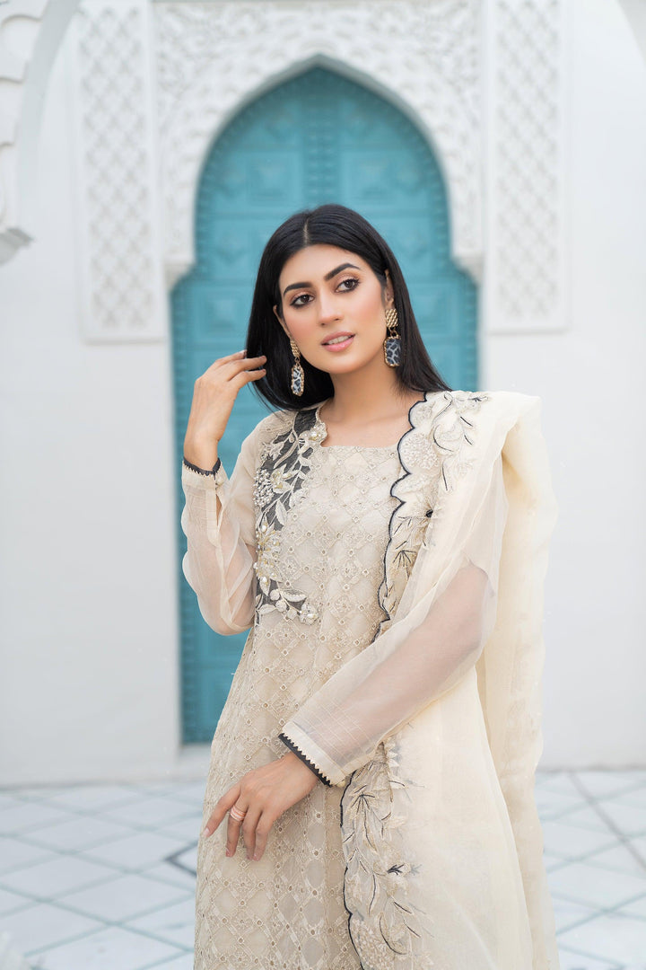 3 Piece Organza Suit Luxury Pret- IN-217-Mirror Addiction - ARFARIWAJ