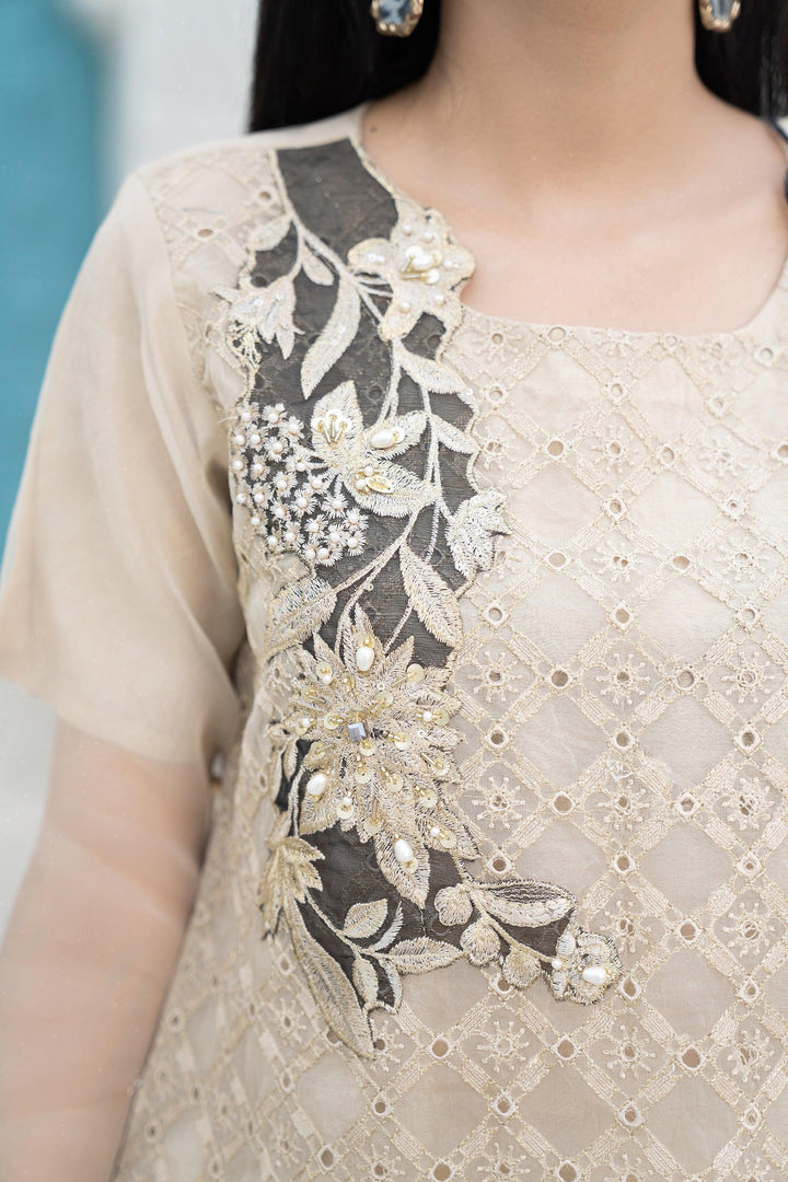 3 Piece Organza Suit Luxury Pret- IN-217-Mirror Addiction - ARFARIWAJ