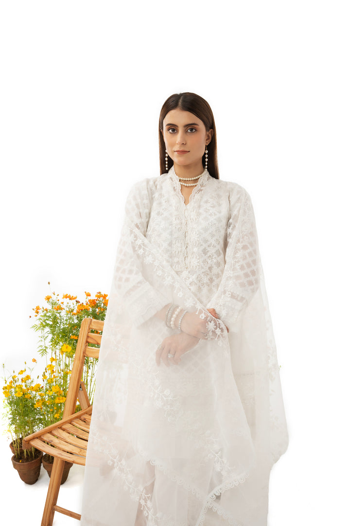 3 Piece Embroidered Organza Jacquard Suit - IN-28(WHITE DOVE) S-23 - ARFARIWAJ