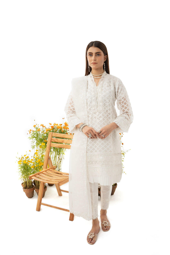 3 Piece Embroidered Organza Jacquard Suit - IN-28(WHITE DOVE) S-23 - ARFARIWAJ