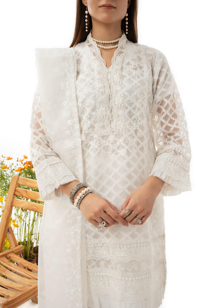 3 Piece Embroidered Organza Jacquard Suit - IN-28(WHITE DOVE) S-23 - ARFARIWAJ