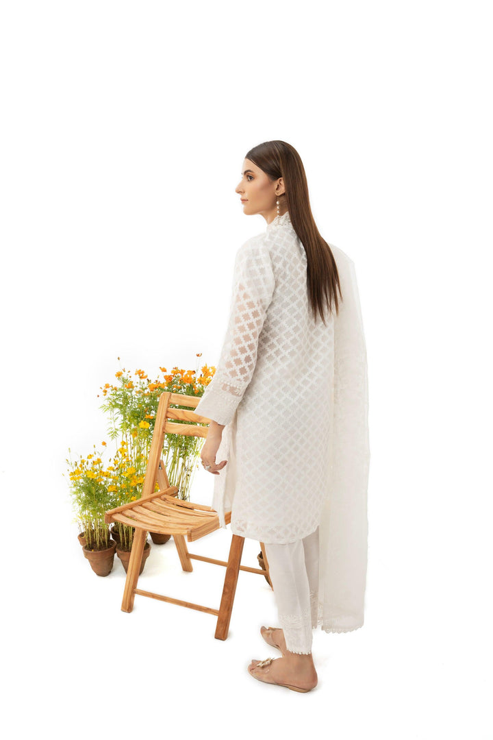 3 Piece Embroidered Organza Jacquard Suit - IN-28(WHITE DOVE) S-23 - ARFARIWAJ